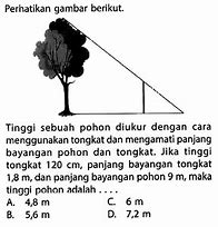 Panjang Tongkat Pramuka Adalah 1 M 60 Cm Tentukan Panjang Tongkat Jika Diukur Dalam Satuan Cm